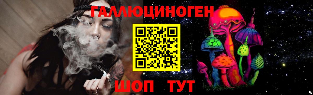Галлюциногенные грибы Psilocybine cubensis Киселёвск